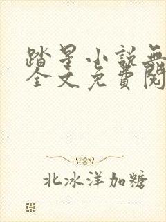 踏星小说无弹窗全文免费阅读