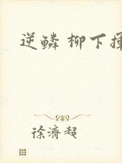逆鳞 柳下挥