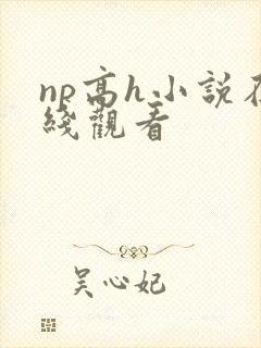np高h小说在线观看封面