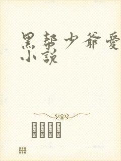 黑帮少爷爱上我小说