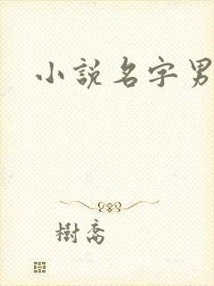 小说名字男生