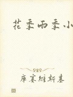 花季雨季小说