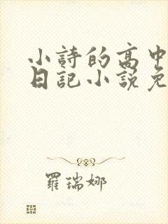 小诗的高中成长日记小说免费阅读