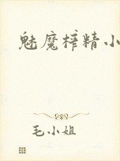 魅魔榨精小说