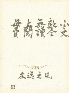 母上无敌小说免费阅读全文最新章节封面