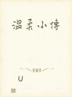 温柔小传封面