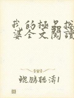 我的极品总裁老婆全文阅读封面