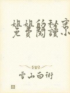 姐姐的秘密全文免费阅读小说
