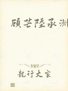 顾芒陆承洲