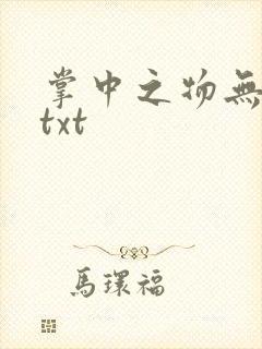 掌中之物无删减txt封面