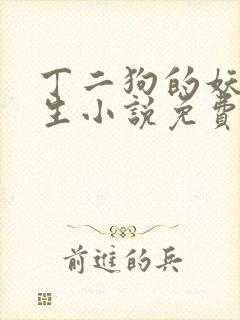 丁二狗的妖孽人生小说免费阅读全文
