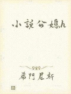 小说公媳h