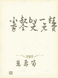 小叔by一枝独秀全文免费阅读笔趣阁最
