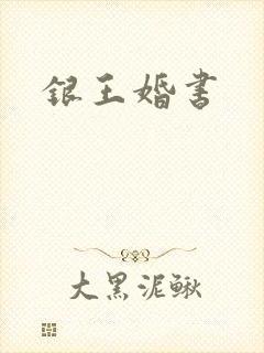 银王婚书封面