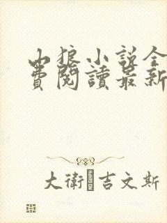 山狼小说全文免费阅读最新章节封面