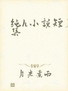 纯h小说短篇合集封面