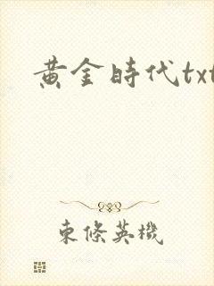 黄金时代txt封面