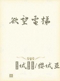 欲望电梯封面