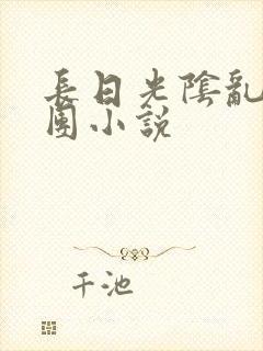 长日光阴乱作一团小说封面