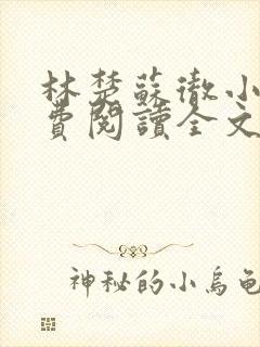 林楚苏彻小说免费阅读全文最新章节封面