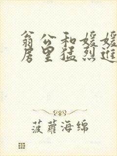 翁公和媛媛在厨房里猛烈进出