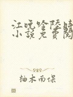 江晚吟陆时今的小说免费阅读
