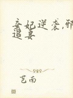 弃妃逆袭,邪王追妻