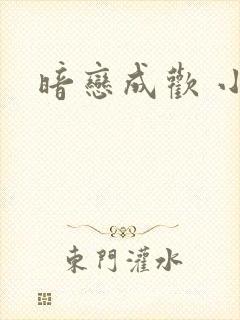 暗恋成欢 小说
