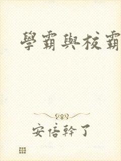 学霸与校霸封面