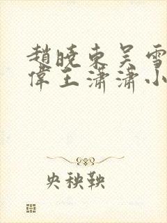 赵晓东吴雪晴郑伟王潇潇小说名字