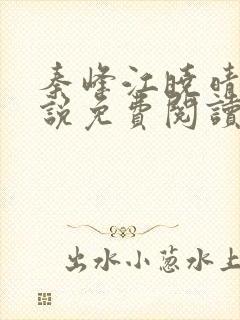 秦峰江晓晴的小说免费阅读