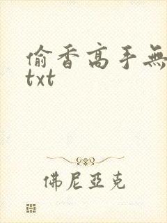 偷香高手无删减txt
