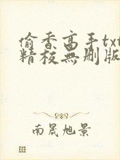 偷香高手txt精校无删版