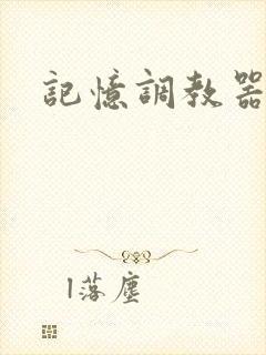 记忆调教器封面