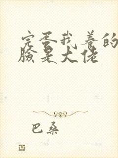 完蛋我养的小白脸是大佬
