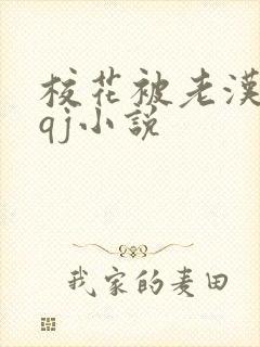 校花被老汉狂肉qj小说封面