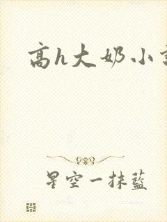 高h大奶小说