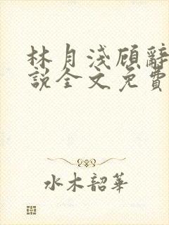 林月浅顾辞远小说全文免费阅读