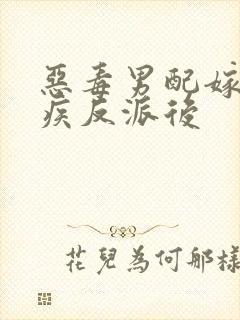 恶毒男配嫁给残疾反派后