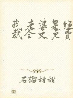 我老婆是绝色总裁全文免费阅读