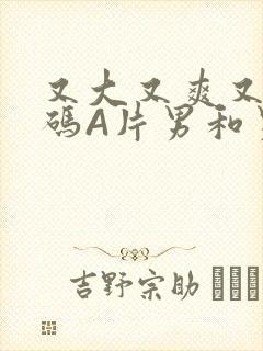 又大又爽又黄无码A片男和男