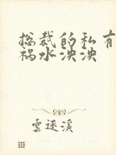 总裁的私有宝贝祸水泱泱封面