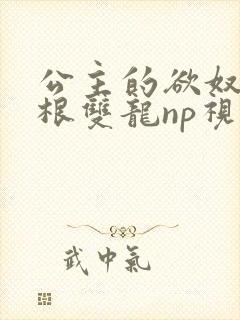 公主的欲奴h四根双龙np视频