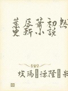 叶辰萧初然最快更新小说