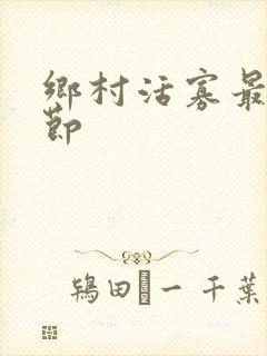 乡村活寡最新章节