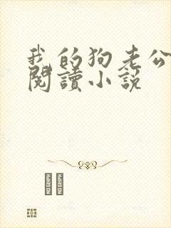 我的狗老公在线阅读小说
