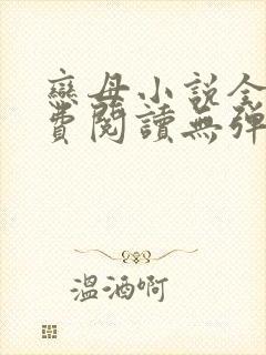 恋母小说全文免费阅读无弹窗笔趣阁封面