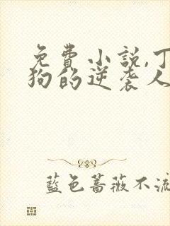 免费小说,丁二狗的逆袭人生