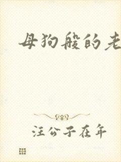 母狗般的老师封面