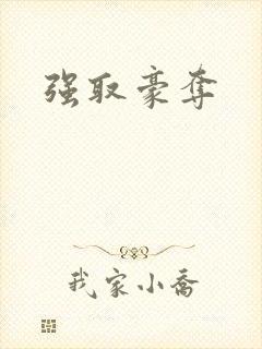 强取豪夺封面